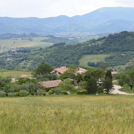 Agriturismo Terra Selvatica Valfabbrica Bagian luar foto