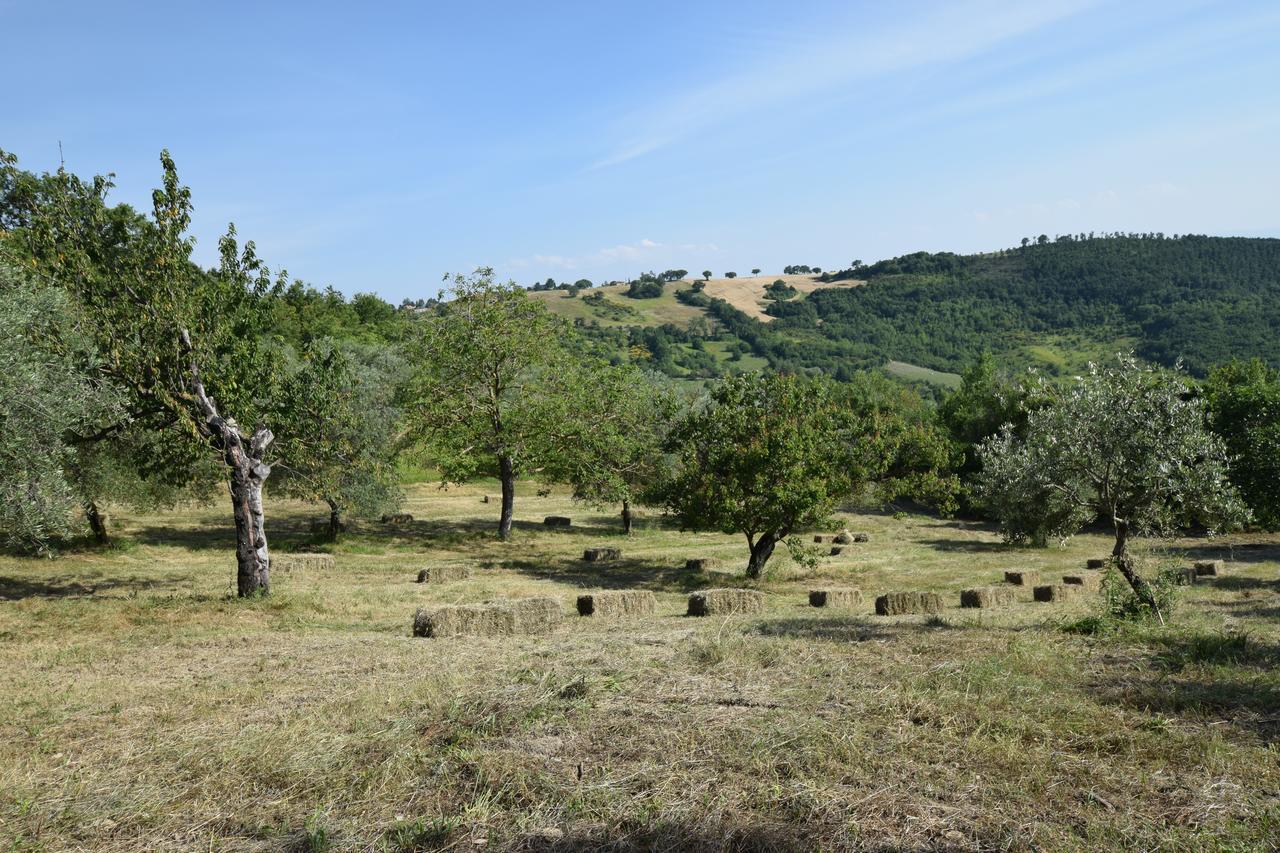 Agriturismo Terra Selvatica Valfabbrica Bagian luar foto