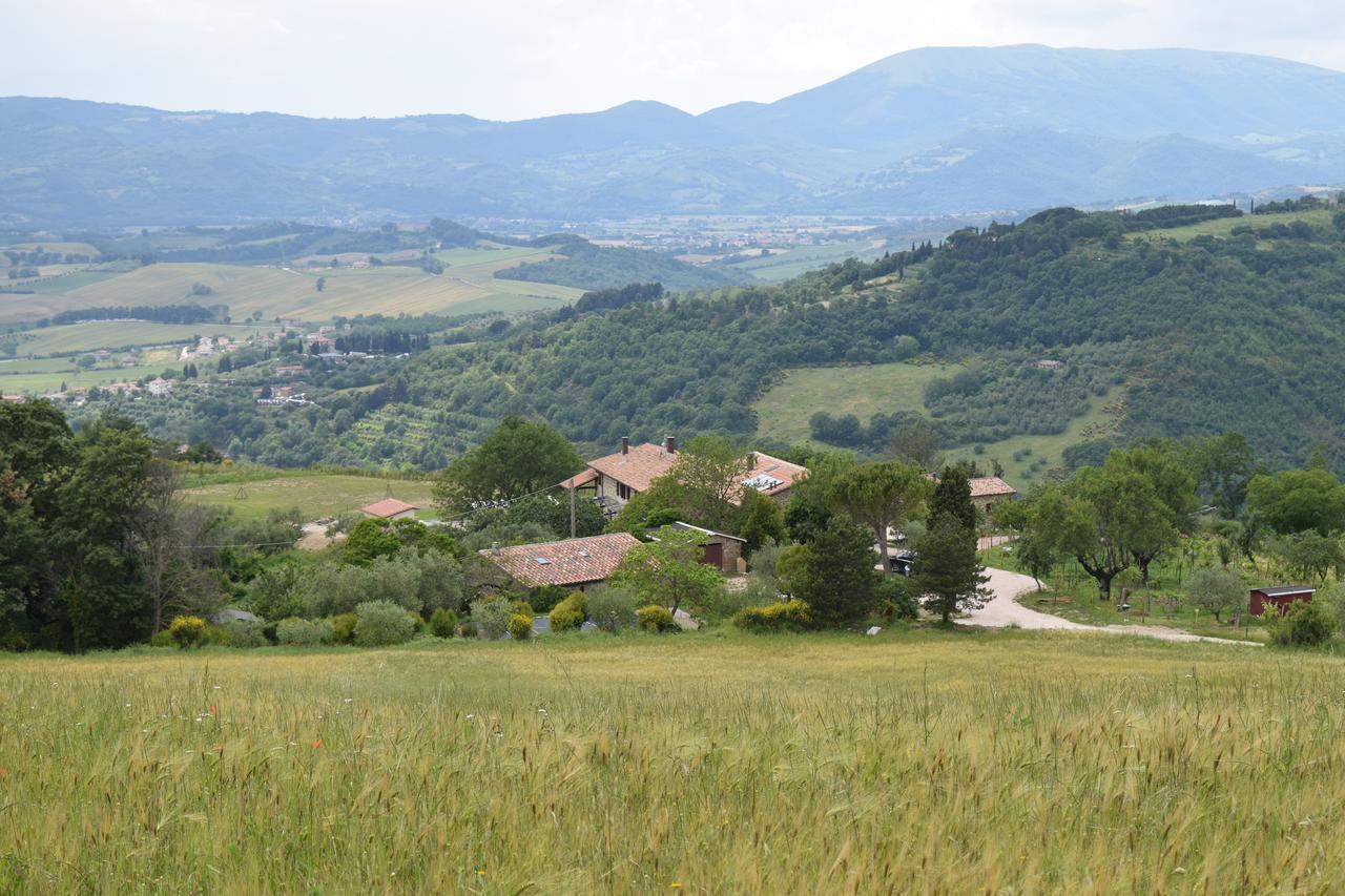 Agriturismo Terra Selvatica Valfabbrica Bagian luar foto